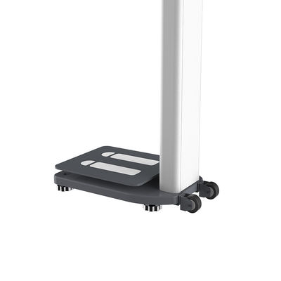 병원용 초음파 BMI 키와 체중 척도 인체 용량 300kg 측정
