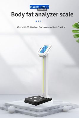 2023 디자인 디지털 체지방 분석기 무게와 신체 구성 측정