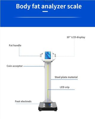 2023 디자인 디지털 체지방 분석기 무게와 신체 구성 측정