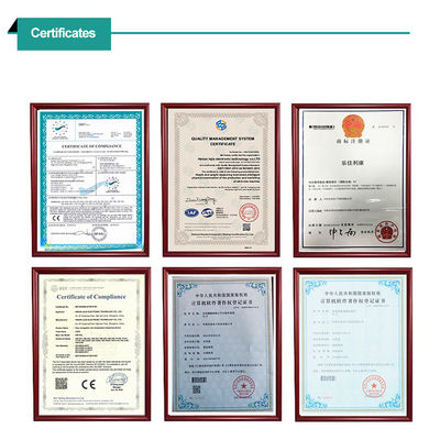 CE ISO9001 인증 ABS 스테인리스 스틸 공항 수하물 척도