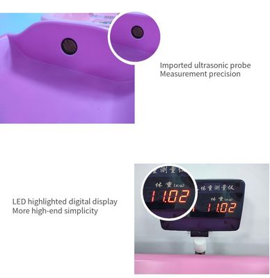 전문 전자 아기 가중 척도 LCD 디스플레이 10G 디비전 독점 거래