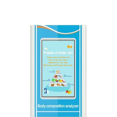 CE ISO9001 인증을 받은 체육관 높이 척도와 체중 및 체질량 지수 분석기