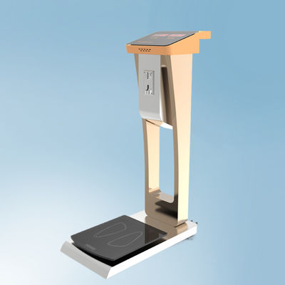 공항 호텔에서 무게를 쉽게 잡을 수 있는 가구 척도 전체 크기 33*55*100cm 무게 35kg