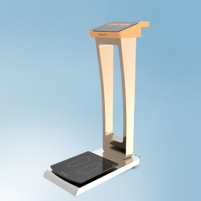 공항 호텔에서 무게를 쉽게 잡을 수 있는 가구 척도 전체 크기 33*55*100cm 무게 35kg